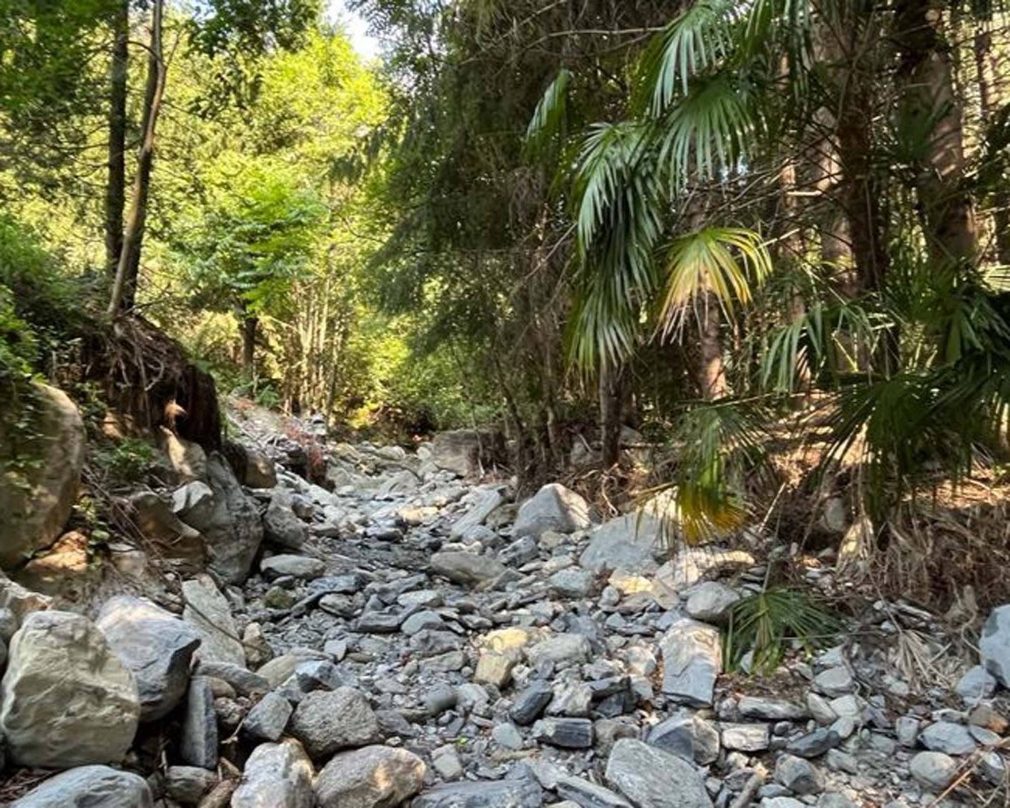 delta-como-progettazione-opere-regimazione-idraulica-valletto-cernobbio (4)