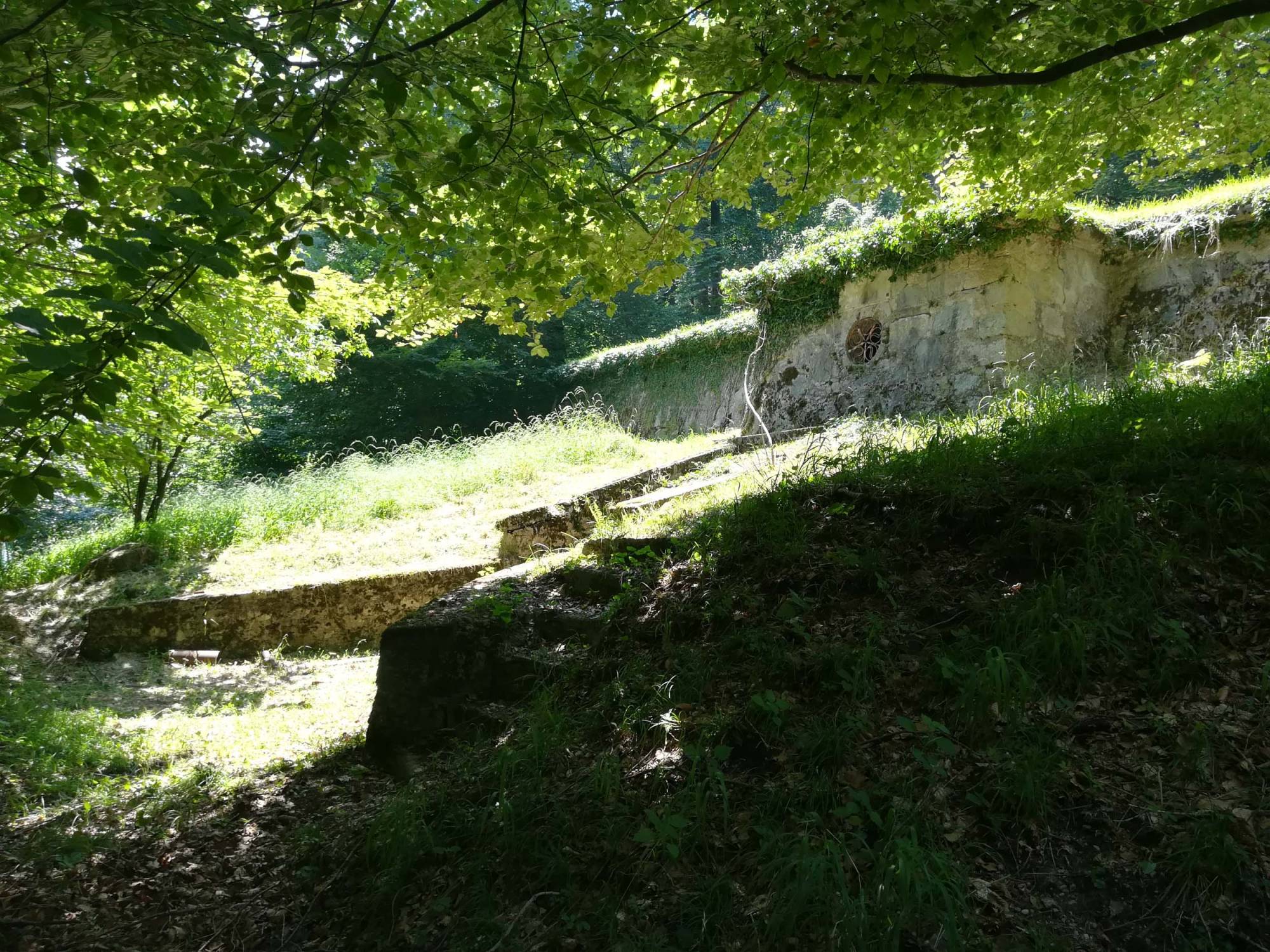 delta-como-progettazione-Rete-Sighignola-valle-intelvi (1)