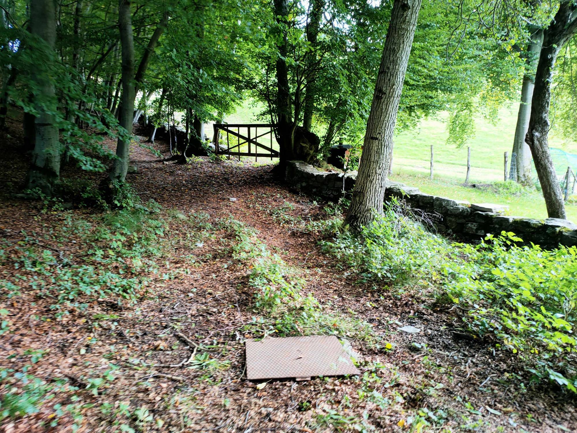 delta-como-progettazione-reti-accquedottistiche-valle-intelvi (1)